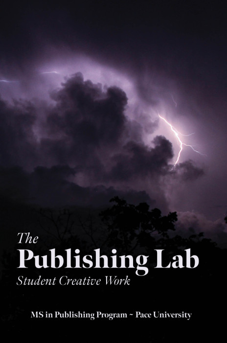 Pub Lab Cover